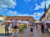 Beaune - Le Marché des Festivinales® fait son retour le dimanche 5 juillet aux Halles