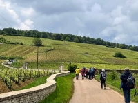 Villers-la-Faye - Les SACADO de Beaune donnent rendez-vous le 4 octobre pour leur 28e Rando Vignes et Sentiers