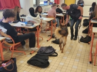 Dijon – Opération de sécurisation au lycée : la brigade cynophile découvre de la résine de cannabis