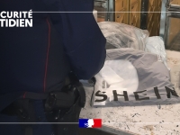 Les douanes de Dijon intensifient leurs contrôles : une centaine de colis inspectés dans un entrepôt régional