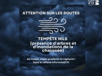 Impact de la tempête Nils en Côte-d’Or