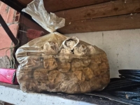 Vosne-Romanée - Une vingtaine de bâtons de dynamite découverts dans un hangar