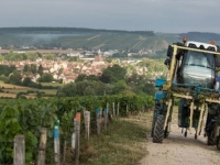 Inédit en Bourgogne : une enquête sur le bien-être et les paysages viticoles