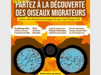 Beaune Côte & Sud – Une sortie nature aux Étangs d’Or pour observer les oiseaux migrateurs