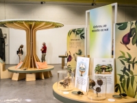 Dijon - L’automne avec le Jardin de l'Arquebuse : des rendez-vous pour explorer la nature autrement