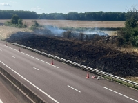 Feu de végétation le long de l'autoroute à Clamerey : les secours mobilisés