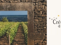 AOC Crémant de Bourgogne : son rôle moteur dans l’économie viticole régionale