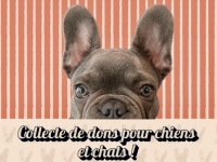 Beaune – Les Ateliers du Cinéma organisent une collecte de dons en septembre pour préparer l’hiver des chiens et des chats 