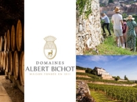 La Maison Albert Bichot célèbre le Mois des Climats
