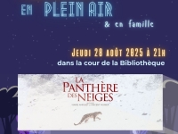 Beaune - Cinéma sous les étoiles : La Panthère des Neiges projetée place Marey le 28 août