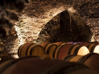 Beaune - Un voyage dans le temps avec la table ronde « Les vins de Bourgogne au 14e siècle » le jeudi 28 mars à La Cité
