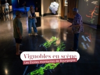Beaune - Octobre à la Cité des Climats et vins de Bourgogne : spectacles, ateliers et week-end exceptionnel avec Vignobles en scène