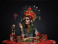 Beaune - Clôture cosmique du Festival Belen avec Orange Blossom en concert : un voyage musical entre les continents et les émotions ce dimanche à 19 h