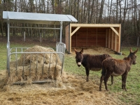 Étangs d’Or - Ne nourrissez plus les animaux du parc : une ânesse est morte