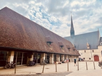 Beaune - Retour sur le conseil municipal : requalification, patrimoine et financement du stade nautique