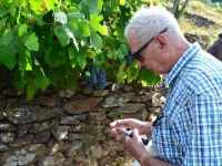 Beaune - Dégustations commentées à l'Hôtel des Ducs de Bourgogne - Musée du Vin