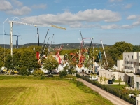 La grande migration des grues : cap sur Beaune pour le JDL Expo 2025