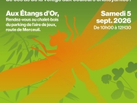 Beaune Côte & Sud - Une sortie nature à la découverte des libellules aux Étangs d’Or 