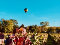J’ai testé pour vous - Entre ciel et vignes : l’ivresse douce d’un vol avec Beaune Montgolfière, une parenthèse de quiétude et de poésie