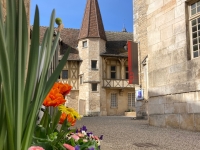 Beaune - Musée du Vin : initiations vertes pour les jeunes jardiniers lors du Rendez-vous aux Jardins les 1er et 2 juin