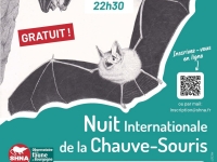 À la découverte des reines de la nuit : la Nuit de la Chauve-souris au Cirque du Bout du Monde