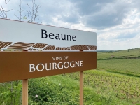 Beaune - Réunion publique sur la viticulture locale avec l’ODG de Beaune ce jeudi 27 mars à 18 h 30