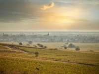 Beaune - Réunion publique de l'ODG pour mieux comprendre la filière viticole et ses enjeux