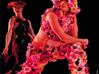 Théâtre de Beaune – La saison démarre sur un ton dansé et décalé le mercredi 15 octobre