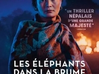 Beaune – Ciné Clap propose « Les Éléphants dans la brume », un voyage au Népal entre mystère et quête de liberté