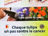 Beaune - En avril, les tulipes du Lions Club fleurissent contre le cancer