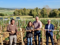 Bourgogne - Des cépages bourguignons résistants aux maladies à l’horizon 2035