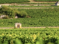 Beaune/Dijon – Les Climats du vignoble de Bourgogne fêtent leurs 10 ans d’inscription à l’UNESCO avec un grand colloque