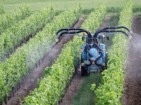 PestiRiv confirme l’évidence : vivre près des vignes expose davantage aux pesticides