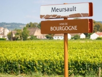 Visite présidentielle en Chine : 70 nouvelles AOP de Bourgogne enregistrées et protégées