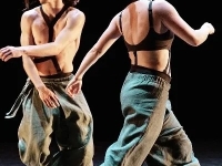 Chagny - Avec « TRIBU », la danse hip-hop entre en transe à la Maison du Peuple ce vendredi