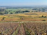 Balade automnale sur la colline de Corton - Des climats lumineux et des panoramas à couper le souffle