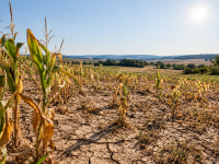 Côte-d’Or – Sécheresse : le Département veut renforcer les aides aux agriculteurs et mieux mobiliser les ressources en eau