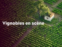 Du 17 au 19 octobre, la Côte-d’Or se met en scène… au cœur de ses vignes !
