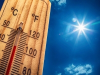 La Côte-d’Or placée en vigilance orange Canicule : les services du Département parés pour faire face