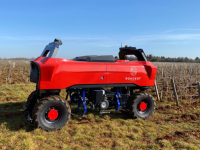 MEURSAULT - Des travaux dans les vignes bas carbone avec Rougeot Viti