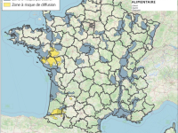 Face à l’augmentation des cas d’influenza aviaire hautement pathogène (IAHP) en Europe, la France relève son niveau de risque