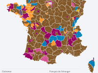 Elections législatives - La carte des résultats des législatives au premier tour 