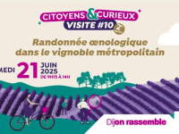 À la découverte du « Dijonnois » : randonnée œnologique et patrimoine vivant ce samedi 21 juin