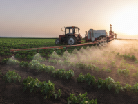 À Beaune Côte & Sud, un vœu pour une agriculture durable recalé mais défendu jusqu’au bout