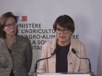 Dermatose, loups, concurrence déloyale : ce qu'il faut retenir des annonces de la ministre de l'Agriculture