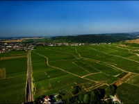 Les Hospices de Nuits-Saint-Georges étendent leur vignoble avec un premier cru « Les Damodes » 
