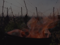 Les images spectaculaires des bougies allumées sur la côte de Beaune : "beaucoup de moyens ont été déployés"