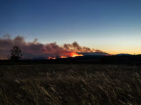 Incendie dans les Pyrénées-Orientales : le feu a déjà parcouru environ 4 600 hectares et il n'est toujours pas fixé