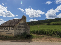 Un transaction d'environ 300 millions d'euros : Louis Roederer s'offre le prestigieux domaine Pierre Damoy à Gevrey-Chambertin