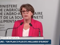 Agriculture - Annie Genevard annonce un plan de plus d’un milliard d’euros après la sécheresse et les canicules